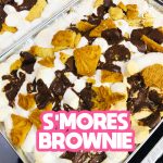 Cake Princess - Classic Fudgy Brownie