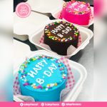 Cake Princess - Lunch Box Cakes