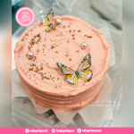 Cake_Lunch_Box_Bento_Serene_Butterfly